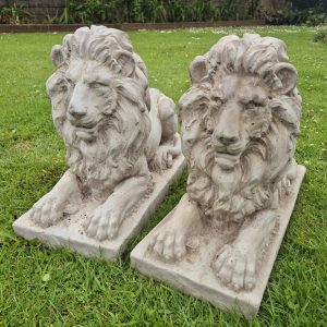 pair of large concrete garden lions on bases