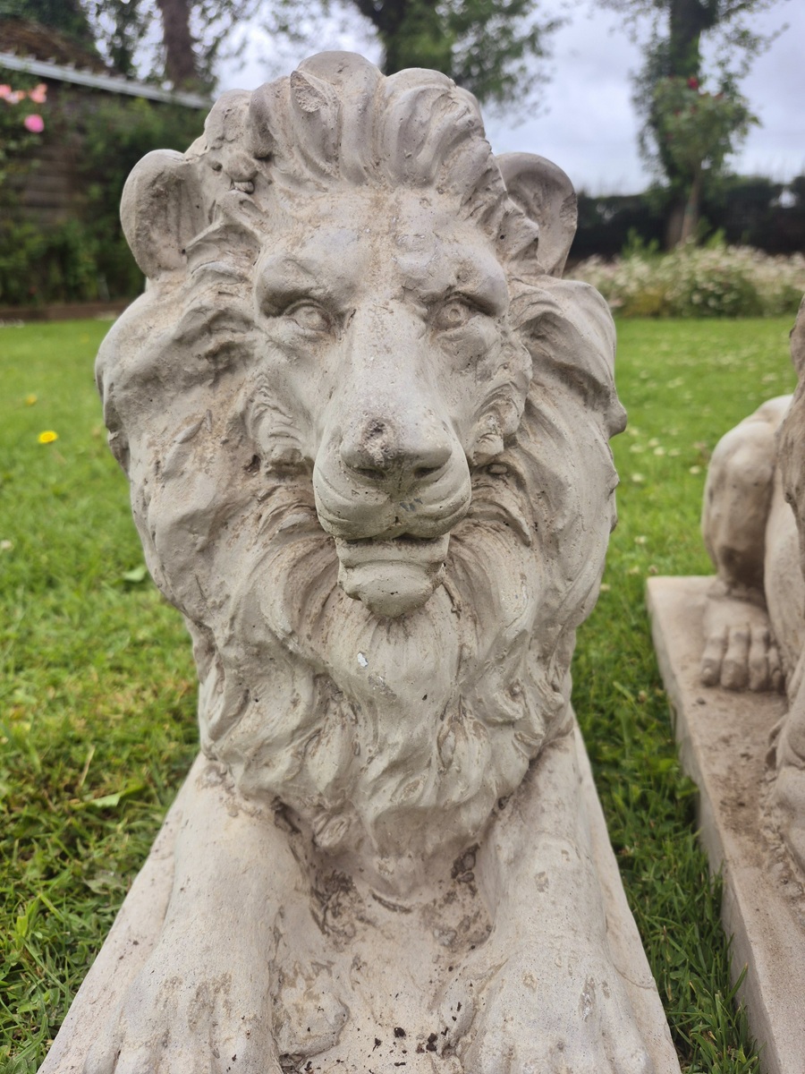 Pair of Large Concrete Garden Lion Statues - Image 4